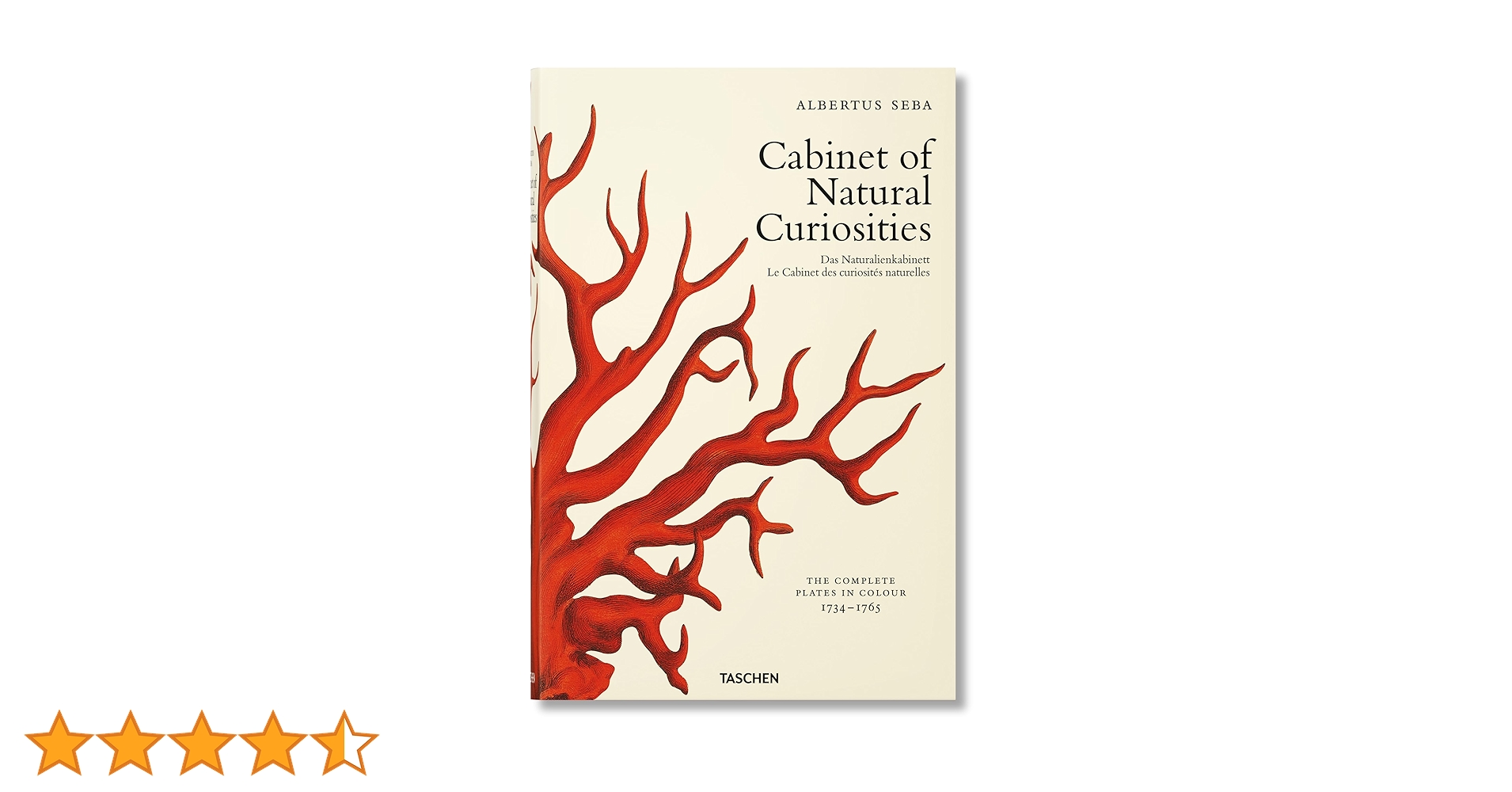 セバ著　Cabinet of Natural Curiosities25th Seba. Cabinet of Natural Curiosities: Müsch, Irmgard, Rust